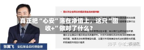 真正把“心安	”落在净值上，这只“固收+”做对了什么？-第3张图片