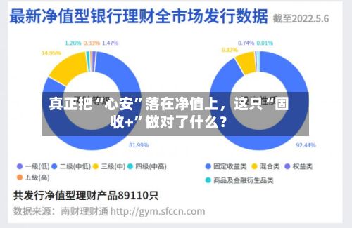 真正把“心安”落在净值上,这只“固收+”做对了什么?