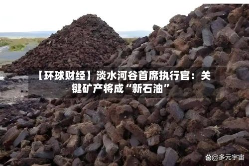 【环球财经】淡水河谷首席执行官:关键矿产将成“新石油”