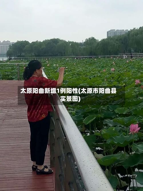 太原阳曲新增1例阳性(太原市阳曲县实景图)