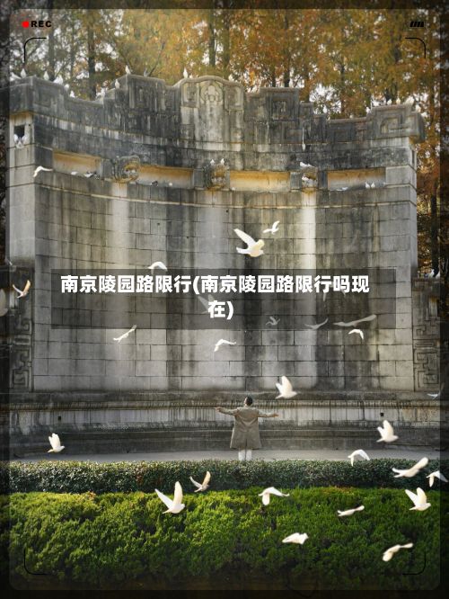 南京陵园路限行(南京陵园路限行吗现在)
