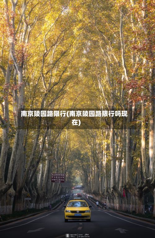 南京陵园路限行(南京陵园路限行吗现在)-第2张图片