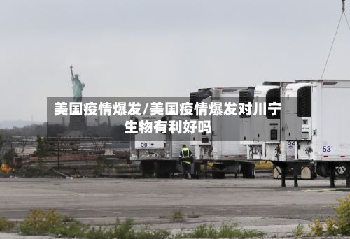 美国疫情爆发/美国疫情爆发对川宁生物有利好吗-第2张图片