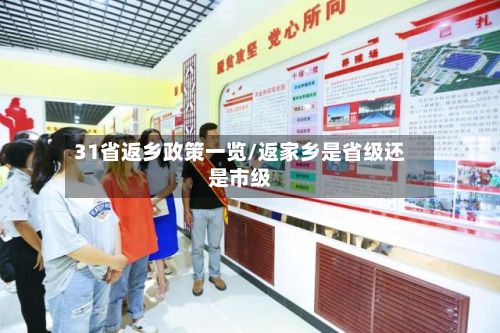 31省返乡政策一览/返家乡是省级还是市级-第3张图片