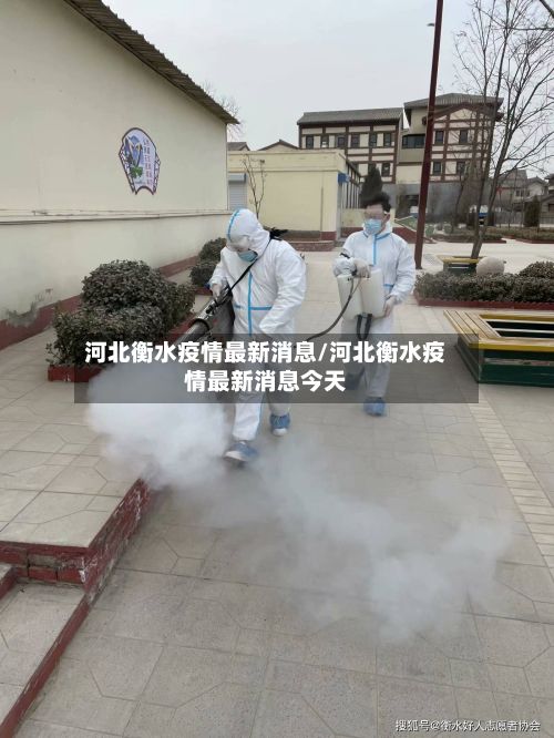 河北衡水疫情最新消息/河北衡水疫情最新消息今天-第2张图片