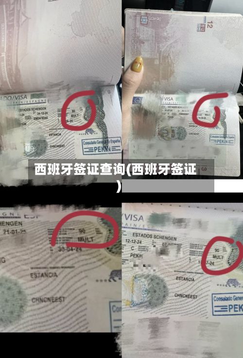 西班牙签证查询(西班牙签证)