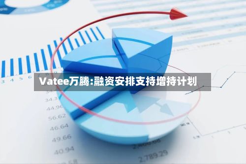 Vatee万腾:融资安排支持增持计划-第1张图片