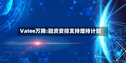 Vatee万腾:融资安排支持增持计划-第2张图片