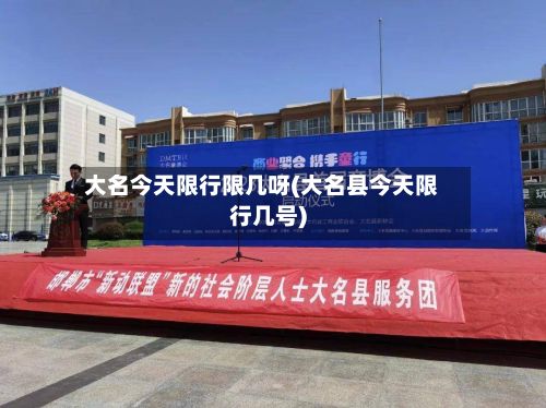大名今天限行限几呀(大名县今天限行几号)-第3张图片