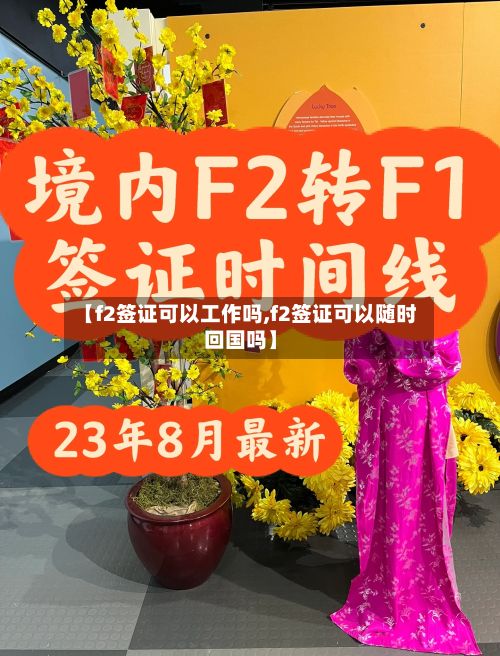 【f2签证可以工作吗,f2签证可以随时回国吗】-第3张图片