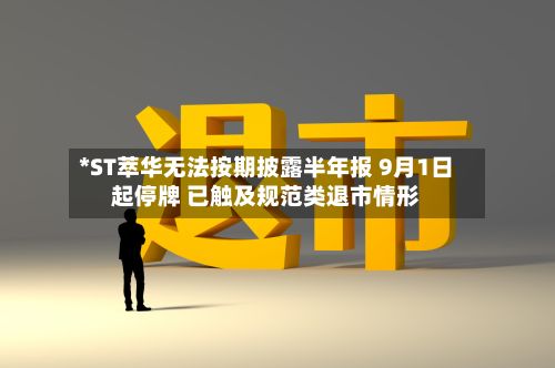 *ST萃华无法按期披露半年报 9月1日起停牌 已触及规范类退市情形-第2张图片