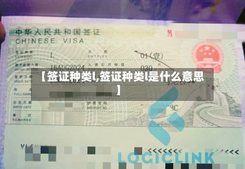 【签证种类l,签证种类l是什么意思】