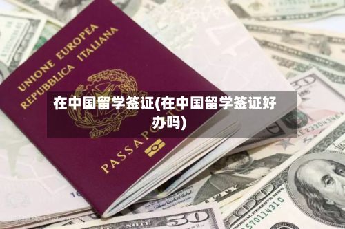 在中国留学签证(在中国留学签证好办吗)-第3张图片