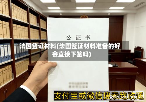 法国签证材料(法国签证材料准备的好会直接下签吗)-第3张图片
