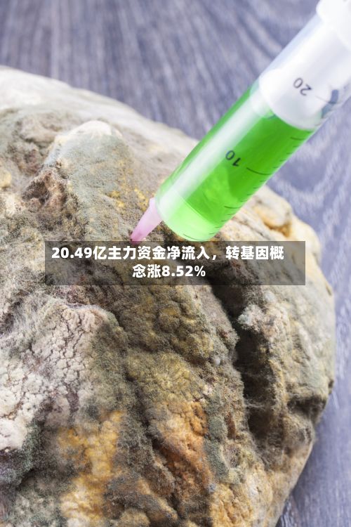 20.49亿主力资金净流入，转基因概念涨8.52%-第2张图片