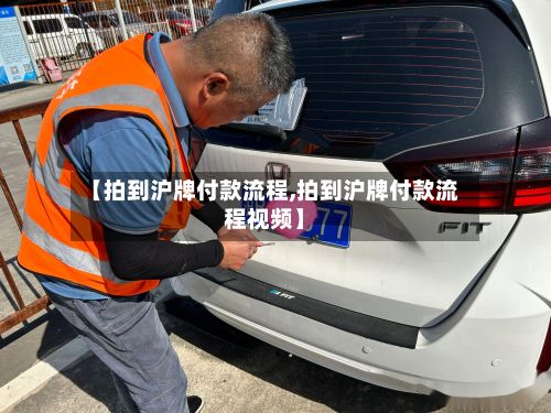 【拍到沪牌付款流程,拍到沪牌付款流程视频】