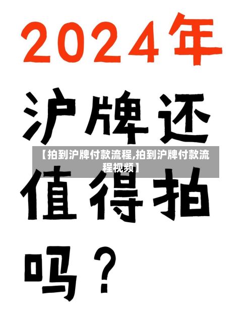 【拍到沪牌付款流程,拍到沪牌付款流程视频】-第2张图片