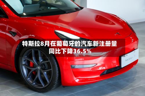 特斯拉8月在葡萄牙的汽车新注册量同比下降36.5%-第2张图片