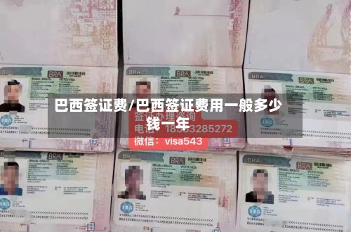 巴西签证费/巴西签证费用一般多少钱一年-第2张图片