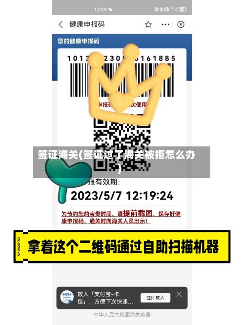 签证海关(签证过了海关被拒怎么办)-第2张图片