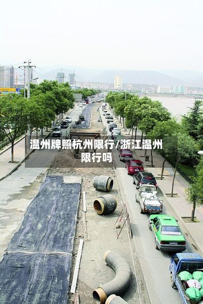 温州牌照杭州限行/浙江温州限行吗-第2张图片