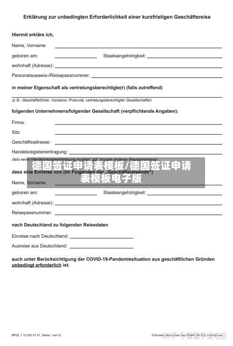 德国签证申请表模板/德国签证申请表模板电子版-第2张图片