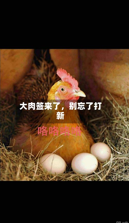 大肉签来了，别忘了打新-第3张图片