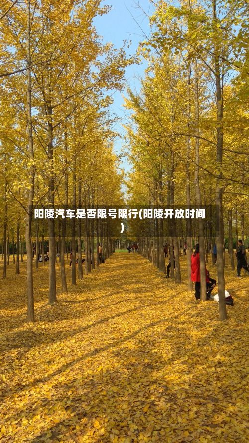 阳陵汽车是否限号限行(阳陵开放时间)-第2张图片