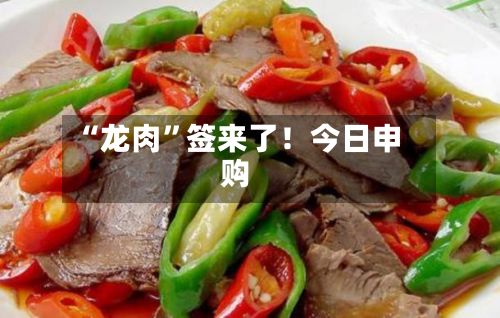 “龙肉”签来了！今日申购-第3张图片