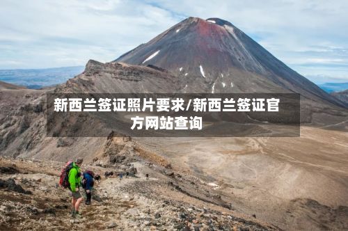 新西兰签证照片要求/新西兰签证官方网站查询-第2张图片