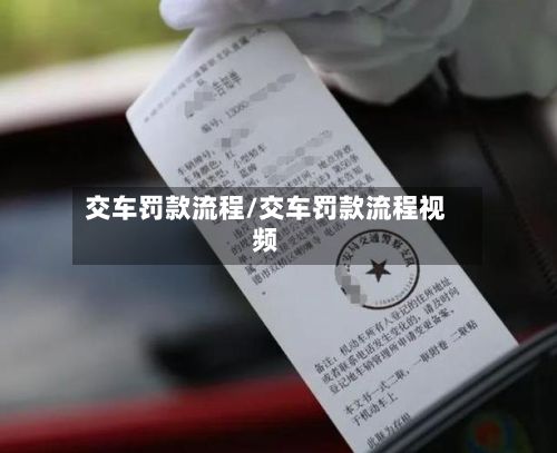 交车罚款流程/交车罚款流程视频-第2张图片