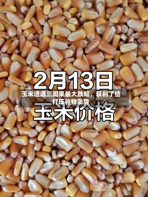 玉米遭遇三周来最大跌幅，获利了结打压谷物涨势-第2张图片