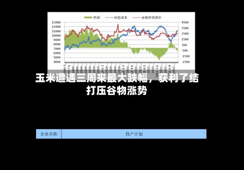 玉米遭遇三周来最大跌幅,获利了结打压谷物涨势