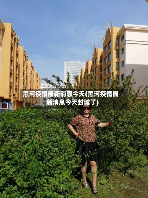 黑河疫情最新消息今天(黑河疫情最新消息今天封城了)-第2张图片