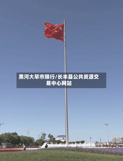 黑河大早市限行/长丰县公共资源交易中心网站