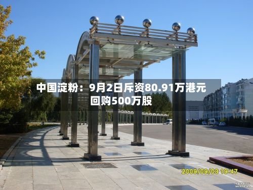 中国淀粉:9月2日斥资80.91万港元回购500万股-第3张图片