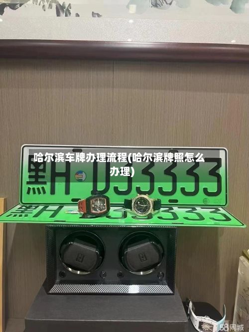 哈尔滨车牌办理流程(哈尔滨牌照怎么办理)-第3张图片