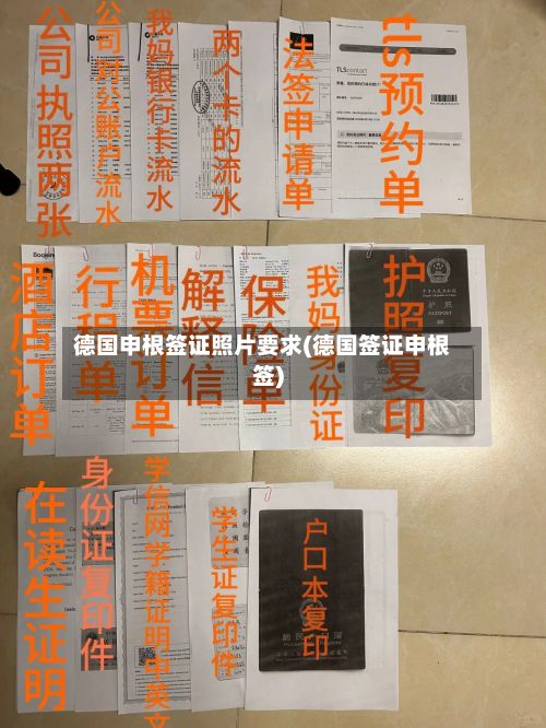 德国申根签证照片要求(德国签证申根签)-第3张图片