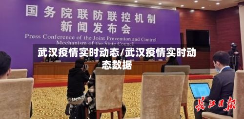 武汉疫情实时动态/武汉疫情实时动态数据