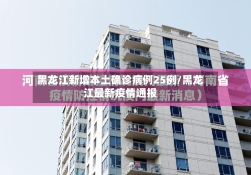 黑龙江新增本土确诊病例25例/黑龙江最新疫情通报-第2张图片