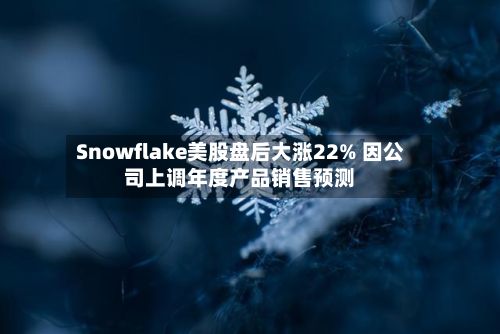 Snowflake美股盘后大涨22% 因公司上调年度产品销售预测