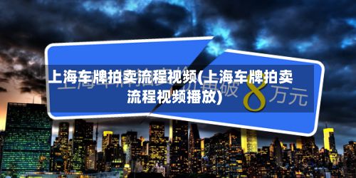 上海车牌拍卖流程视频(上海车牌拍卖流程视频播放)-第2张图片