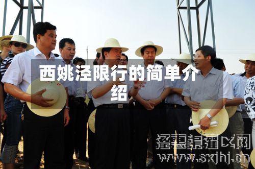 西姚泾限行的简单介绍