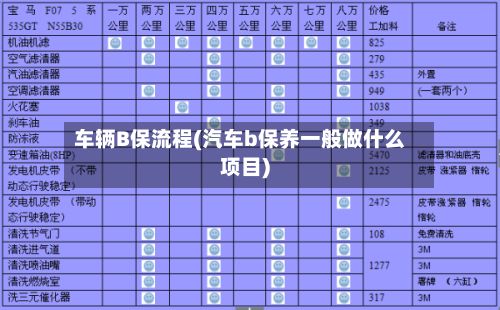 车辆B保流程(汽车b保养一般做什么项目)-第3张图片