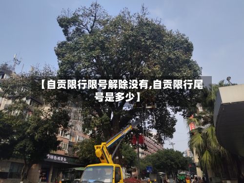 【自贡限行限号解除没有,自贡限行尾号是多少】-第2张图片