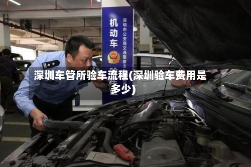 深圳车管所验车流程(深圳验车费用是多少)