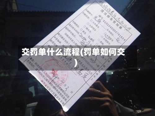 交罚单什么流程(罚单如何交)-第2张图片