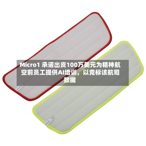 Micro1 承诺出资100万美元为精神航空前员工提供AI培训	，以竞标该航司数据-第2张图片